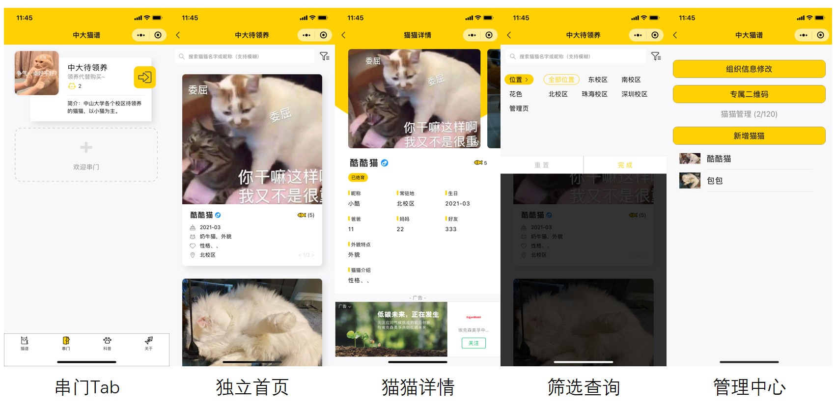 图片[2] - 流浪猫信息记录和分享的小程序源码 - 狗凯之家免费源码网