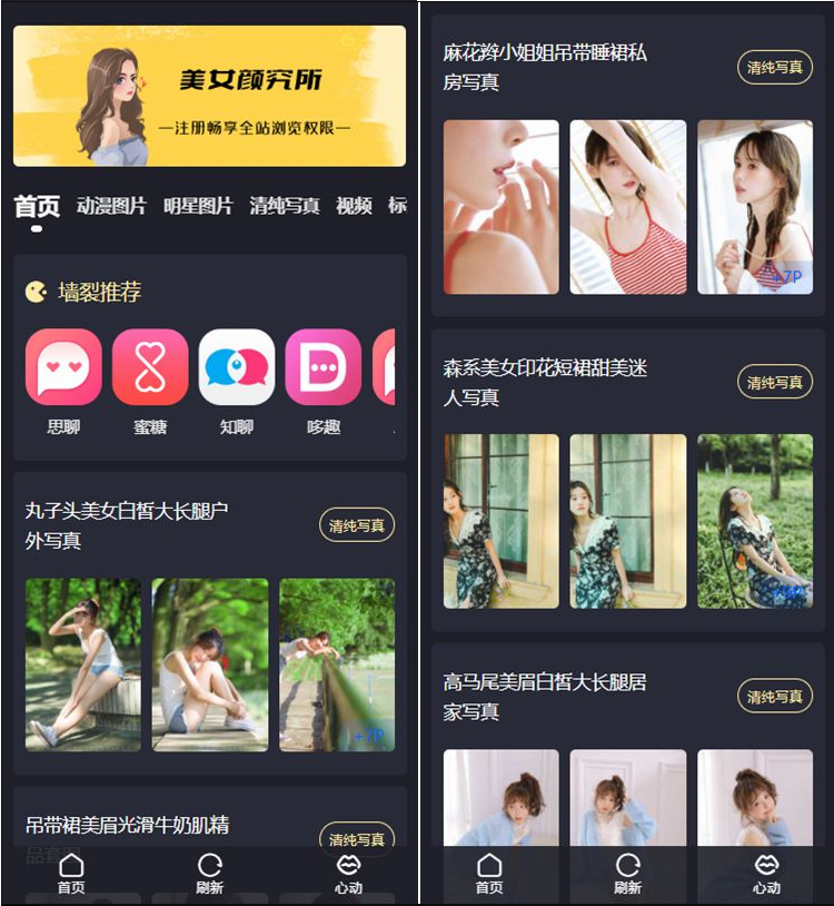 图片[2] - 最新抖你妹原版主题源码仿抖音模式套图SEO源码_WordPress图片主题 - 狗凯之家免费源码网