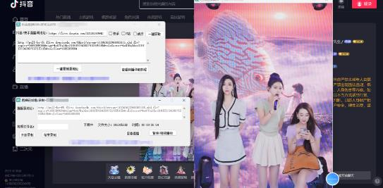直播源获取抖音/快手/B站+直播间实时录制+直播转播【软件+教程】 - 狗凯之家免费源码网