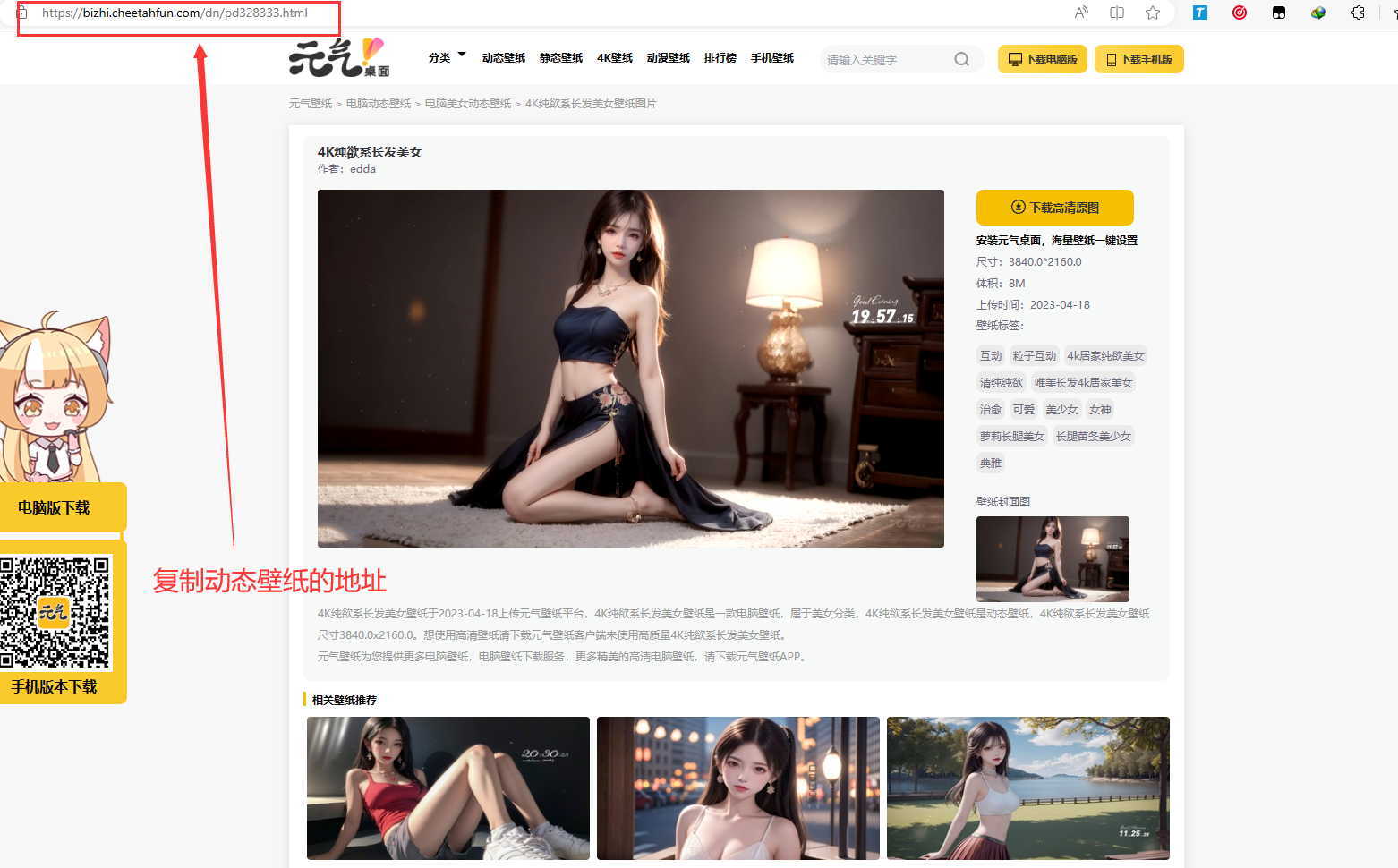 元气动态壁纸在线下载工具PHP源码 - 狗凯之家免费源码网