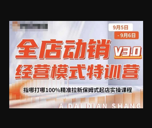 全店动销经营模式特训营，指哪打哪100%精准拉新保姆式起店实操课程 - 狗凯之家免费源码网