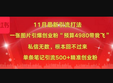 小红书11月最新图片打粉，一张图片引爆创业粉，“预算4980带我飞”，单条引流500+精准创业粉 - 狗凯之家免费源码网