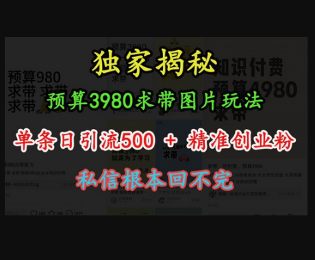 预算3980求带 图片玩法，单条日引流500+精准创业粉，私信根本回不完 - 狗凯之家免费源码网