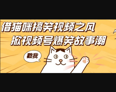 借猫咪搞笑视频之风，掀视频号爆笑故事潮，轻松日入四位数，无门槛快速入门! - 狗凯之家免费源码网