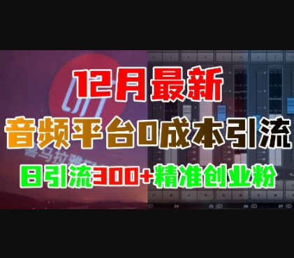 12月最新：音频平台0成本引流，日引流300+精准创业粉 - 狗凯之家免费源码网