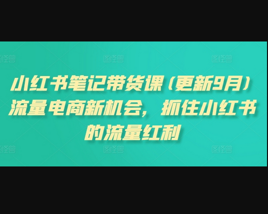 小红书笔记带货课(更新12月)流量电商新机会，抓住小红书的流量红利 - 狗凯之家免费源码网