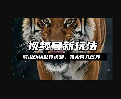 利用动物世界解说视频，赚分成计划收益，轻松月入过W，操作简单 - 狗凯之家免费源码网