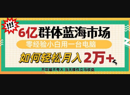6亿群体蓝海市场，零经验小白用一台电脑，如何轻松月入过w - 狗凯之家免费源码网