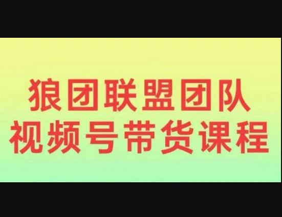 狼团联盟2024视频号带货，0基础小白快速入局视频号 - 狗凯之家免费源码网