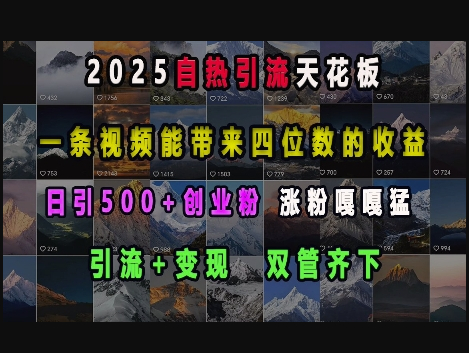2025自热引流天花板，一条视频能带来四位数的收益，引流+变现双管齐下，日引500+创业粉，涨粉嘎嘎猛 - 狗凯之家免费源码网