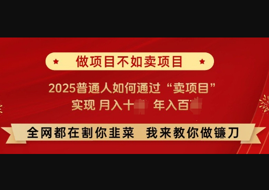 必看，做项目不如卖项目，2025普通人如何通过“卖项目”实现月入十个，年入百个 - 狗凯之家免费源码网