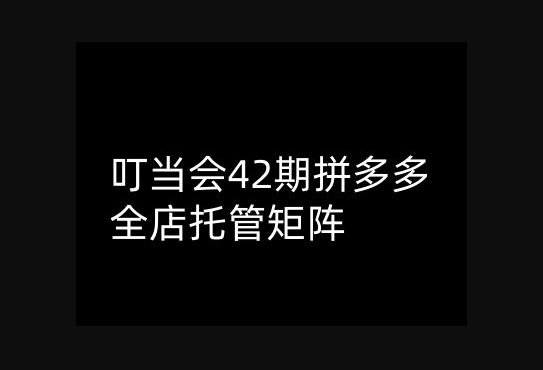 叮当会拼多多打爆班原创高阶技术第42期，拼多多全店托管矩阵 - 狗凯之家免费源码网