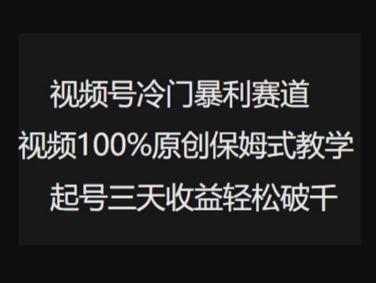 视频号冷门暴利赛道视频100%原创保姆式教学起号三天收益轻松破千 - 狗凯之家免费源码网