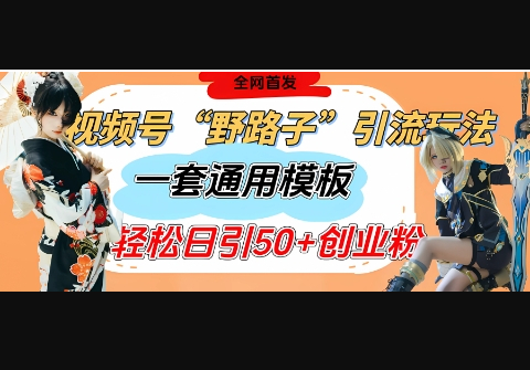 视频号“野路子”玩法，评论区疯狂截流，一套模板单日单号引流50+创业粉 - 狗凯之家免费源码网