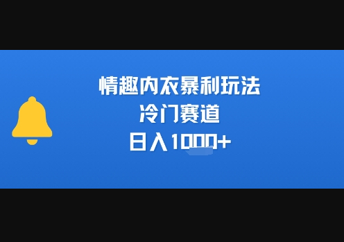 情趣内衣暴利玩法，冷门赛道，日入1k+ - 狗凯之家免费源码网
